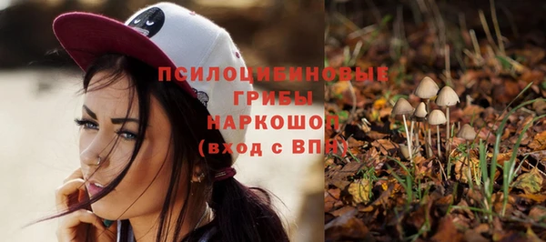 СК Красноперекопск